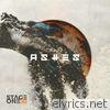 Ashes - Single