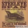 Steeleye Span - The Lark In Morning - The Early Years