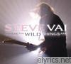 Steve Vai - Where the Wild Things Are (Live)