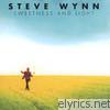 Steve Wynn - Sweetness and Light