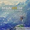 Steven Curtis Chapman - Beauty Will Rise