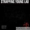 Strapping Young Lad - City