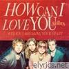 How Can I Love You (Without Breaking Your Heart) - Single
