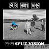 Subhumans - 29:29 Split Vision (Remastered)