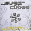 Sugarcubes - Here Today, Tomorrow, Next Week