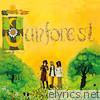 Sunforest - Sound of Sunforest