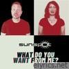 What Do You Want From Me? - Single