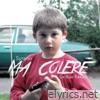 Ma colère (feat. La Rue Kétanou) - Single