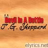 T.g. Sheppard - Devil In A Bottle