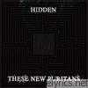 These New Puritans - Hidden