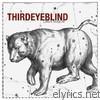 Third Eye Blind - Ursa Major (Bonus Track Version)