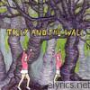 Tilly & The Wall - Wild Like Children