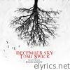 Tomi Swick - December Sky (feat. Julian Lennon) - Single