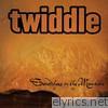 Twiddle - Somewhere On the Mountain