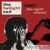 Twilight Sad - Forget the Night Ahead