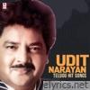 Udit Narayan Telugu Hit Songs