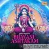 Bhavani Ashtakam (LoFi) - Single