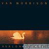 Van Morrison - Avalon Sunset