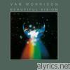 Van Morrison - Beautiful Vision