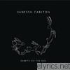 Vanessa Carlton - Rabbits On the Run (Deluxe Edition)