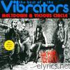 Vibrators - Meltdown / Vicious Circle