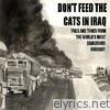 Don't Feed the Cats in Iraq