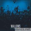 Wallows - Wallows: Live at Third Man Records