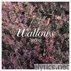 Wallows - Spring - EP