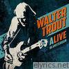 Walter Trout - ALIVE in Amsterdam (Live)