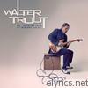 Walter Trout - Blues for the Modern Daze