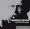 Warren Zevon - Mr. Bad Example