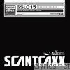 Wasted Penguinz - Scantraxx Silver 015 - Single
