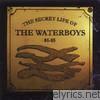 Waterboys - The Secret Life of the Waterboys '81-'85