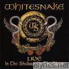 Whitesnake - Live - In the Shadow of the Blues