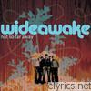 Wideawake - Not So Far Away