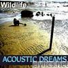 Acoustic Dreams