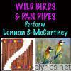 Wild Birds & Pan Pipes Perform Lennon & Mccartney