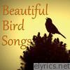 Beautiful Bird Songs