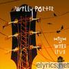 Willy Porter - High Wire Live