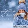 Winter Melodies Wonderland - Magic Instrumental Moods for Cold Days