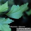 Xavier Davis - Dance of Life