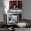 Young Dro - D. P. W. H.