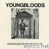 Youngbloods - Ride the Wind [Live]