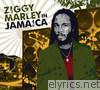 Ziggy Marley In Jamaica