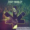 Ziggy Marley - Ziggy Marley In Concert