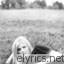 Linda Mccartney