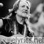 Willie Nelson All In The Name Of Love lyrics