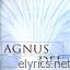 Agnus Dei King By Blood Right lyrics