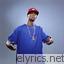 Papoose Fitted Hat Low lyrics