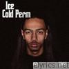 100s - Ice Cold Perm